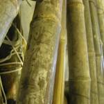 Le Dit Du Bambu, souk la parole - fot0 Compagnie Caracol