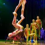 Icarian Games in Varekai Icarian Games in Varekai