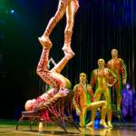 Icarian Games in Varekai