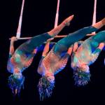 Varekai Varekai