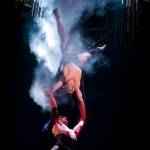 Aerial Straps in Varekai Aerial Straps in Varekai