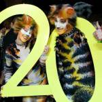 Cats Cats