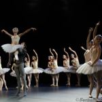 Nationale Ballet, Zwanenmeer