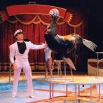Kerstcircus Kerstcircus