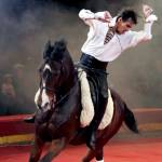 Kerstcircus Kerstcircus