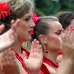 La Guardia Flamenca