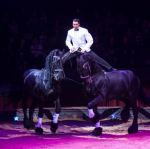 Wereldkerstcircus 2014