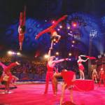 Wereldkerstcircus in Carré Wereldkerstcircus in Carré