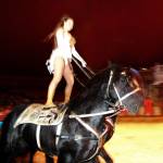 Wereldkerstcircus in Carré